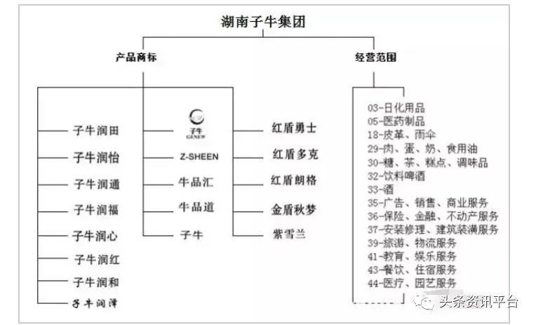 湖南子牛集團(tuán)更名子康生活，沉寂兩年后攜新定位“重出江湖”